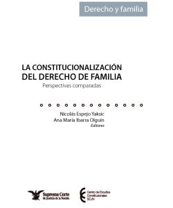 Constitucionalización_derecho_de_familia_Página_003