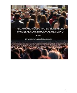 LIBRO EL AMPARO COLECTIVO EN EL NUEVO DERECHO PROCESAL CONSTITUCIONAL MEXICANO FINAL_Página_001