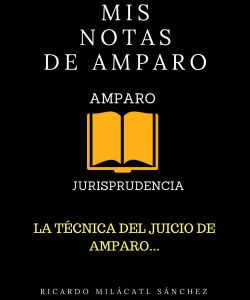 MIS NOTAS DE AMPARO_Página_001